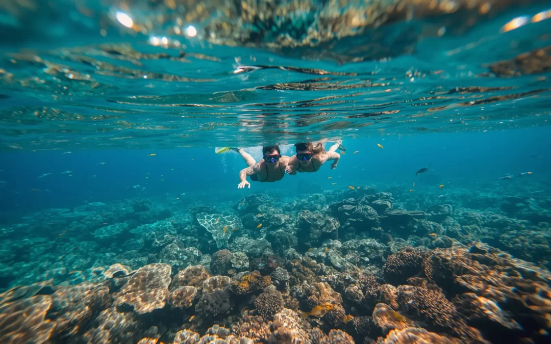 Snorkeling à Koh Lipe au-dessus des coraux spots et excursions island hopping 2026