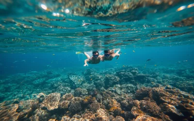 Snorkeling et plongée à Koh Lipe : guide des spots, excursions et ce qu&rsquo;il faut savoir en 2026