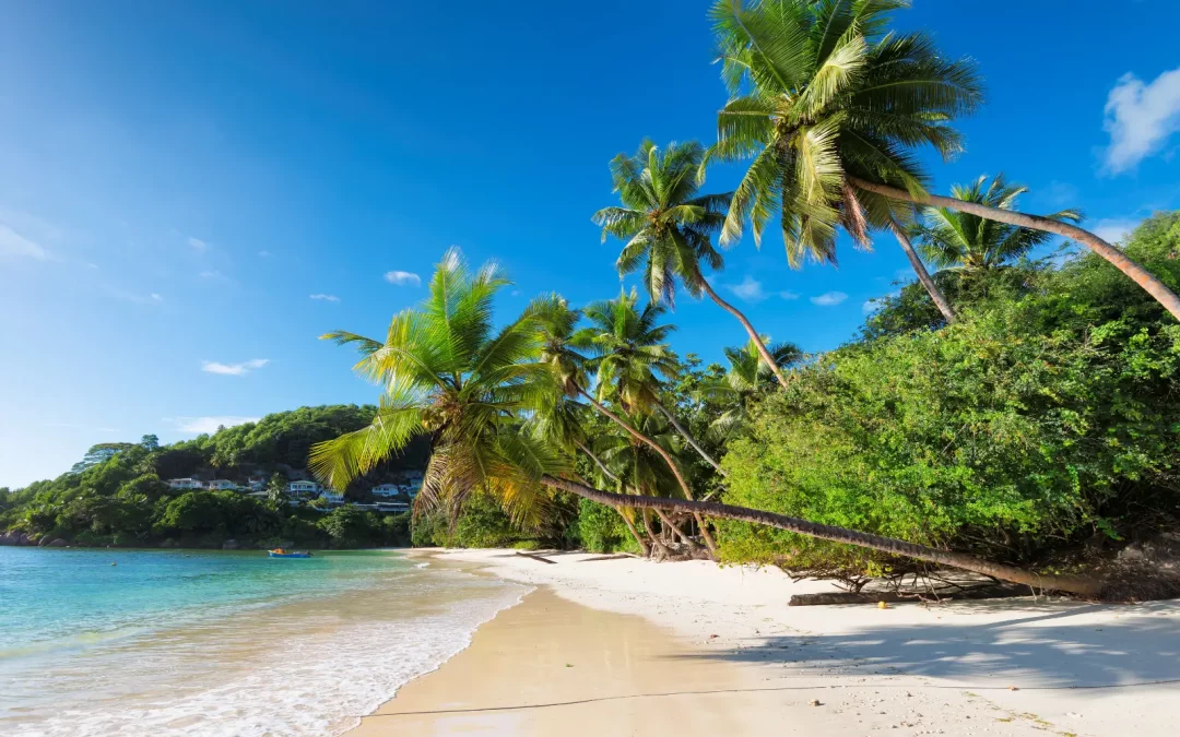 Koh Samui : guide complet pour un séjour réussi