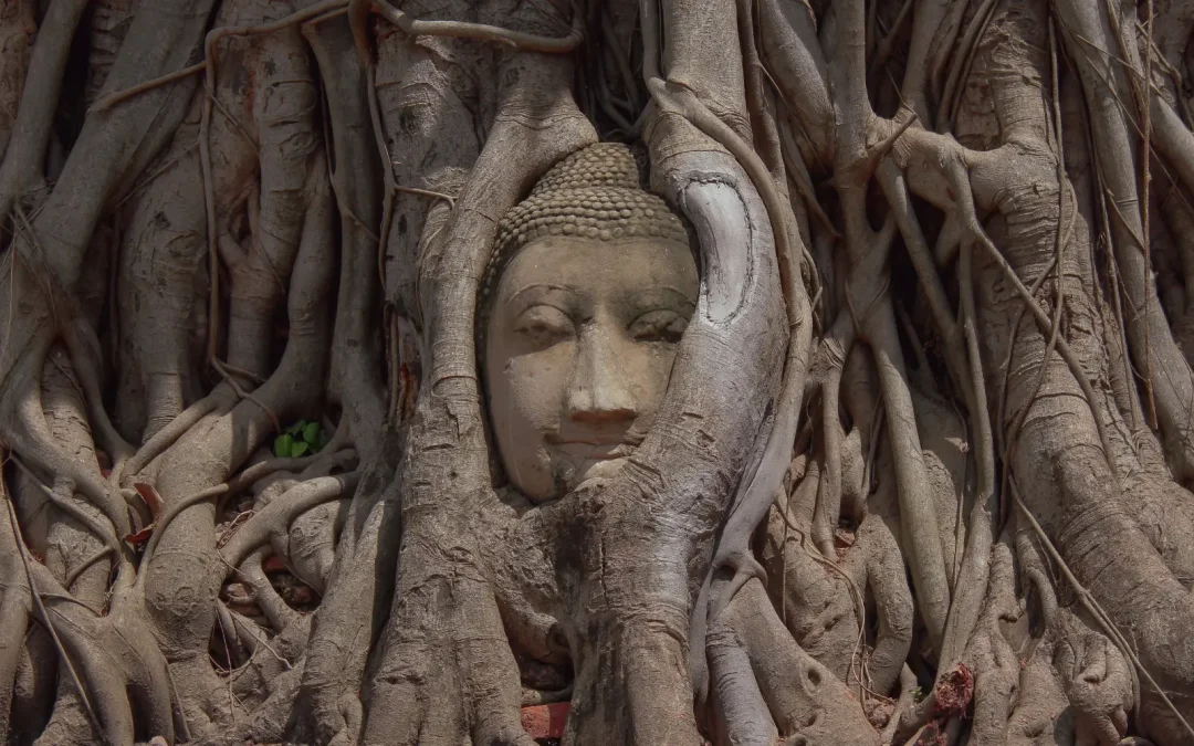 Tête de Bouddha dans les racines du banian au Wat Mahathat Ayutthaya